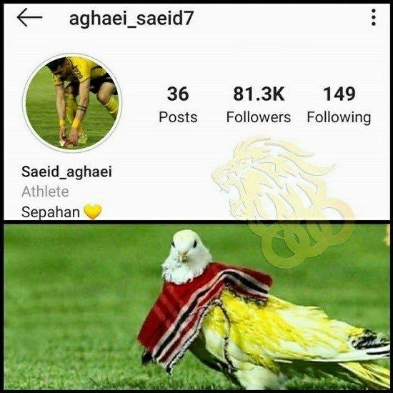 ماجرای پیچیده مدافع پرسپولیس؛ از کفتربازی تا دعوا با سعید آقایی!