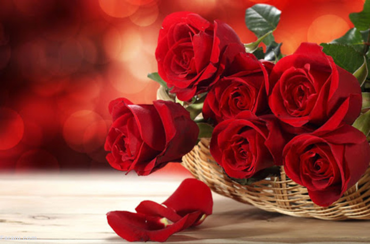 پیام تبریک عاشقانه سالگرد ازدواج به همسر؛ جملات زیبا و احساسی گل رز