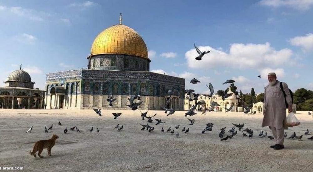 (ویدئو)