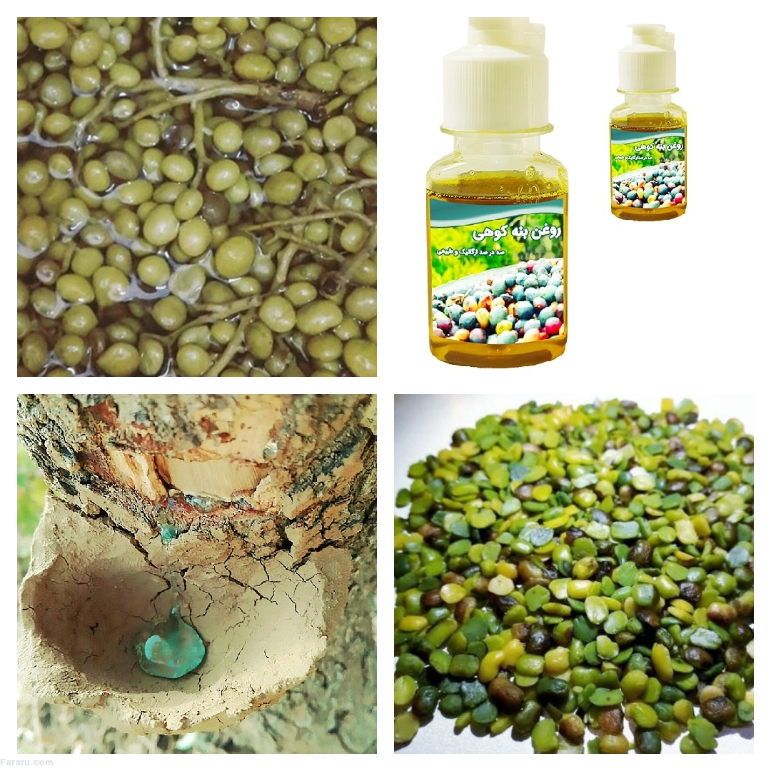روغن