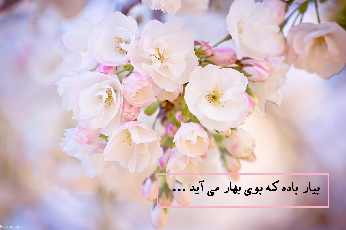 تبریک نوروز