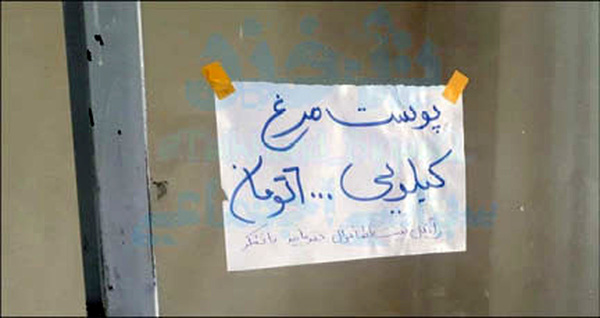 پوست مرغ