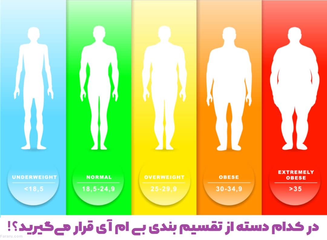 آیا BMI یک شاخص قابل اعتماد برای ارزیابی وضعیت بدن است؟ جرم بدنی
