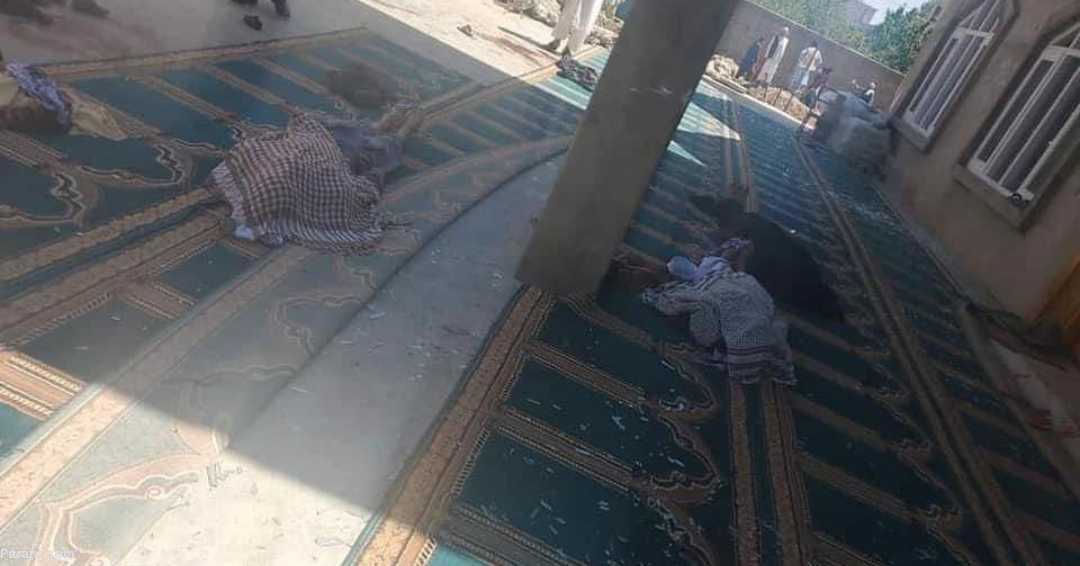 (تصاویر)