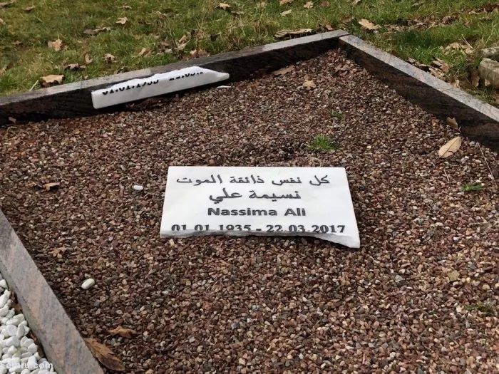 (تصاویر)