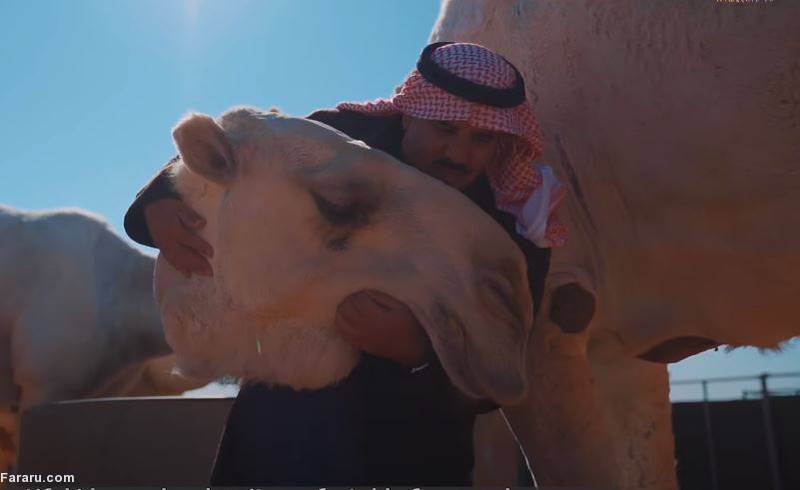 (ویدئو)