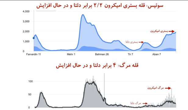 «قله مرگ» در کرونای اومیکرون بالاتر از دلتا