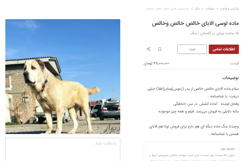 قیمت های عجیب سگ های گله ای!