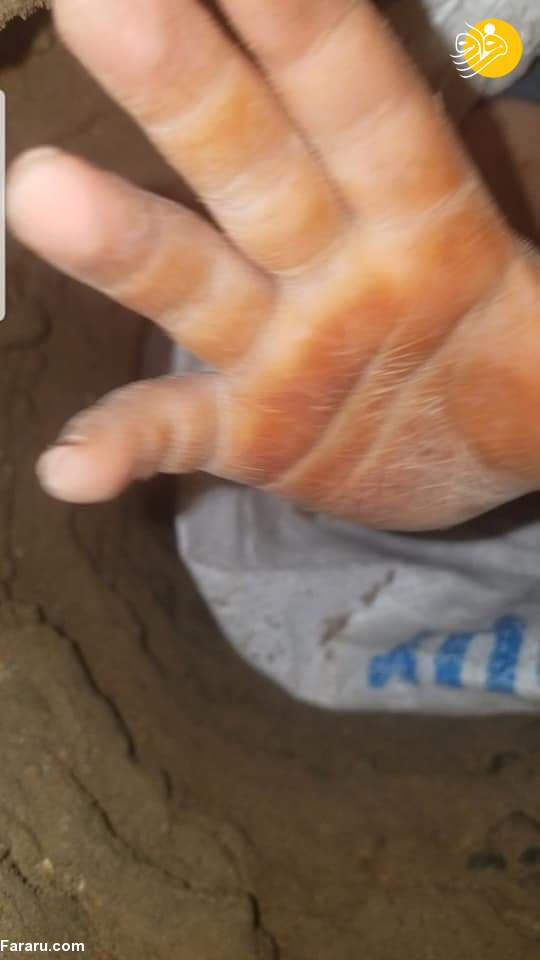 (ویدئو)