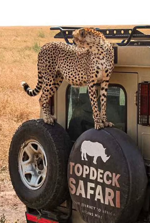 (ویدئو)