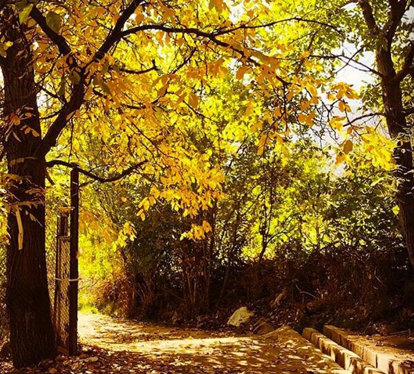 روستایی که ناصرالدین شاه در آن عاشق شد