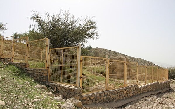 سنگ‌نگاره ساسانی