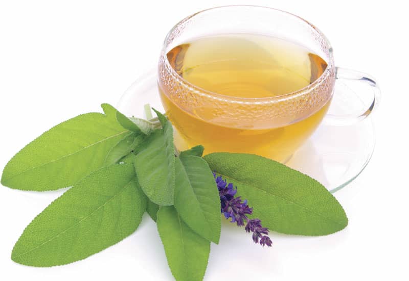 با خواص درمانی و عوارض مصرف گیاه دارویی دمنوش مریم گلی