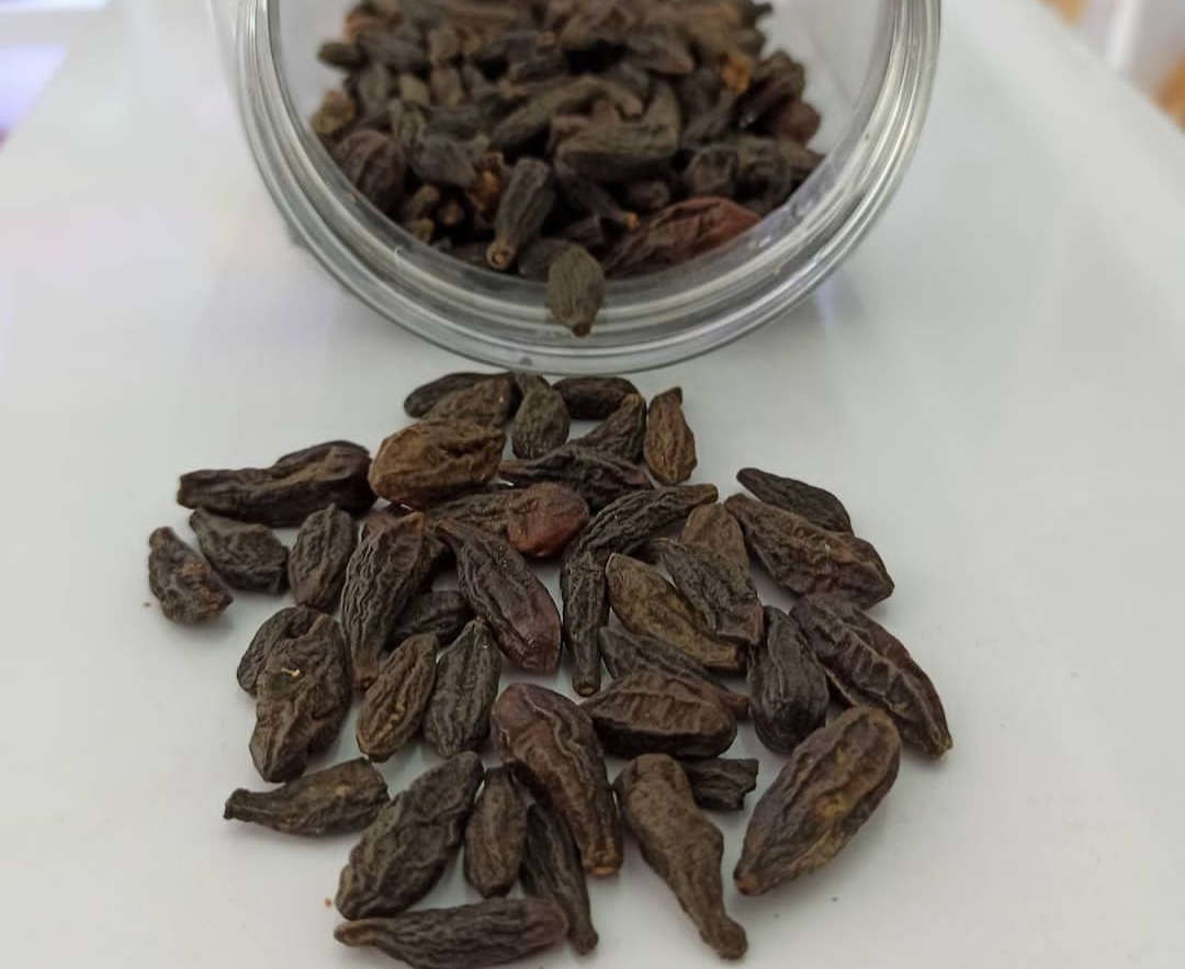 روغن هلیله سیاه