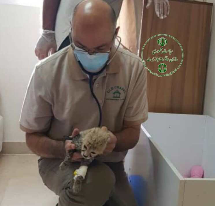 کالدول