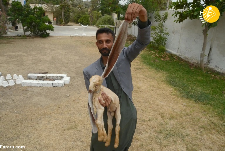 (تصاویر)