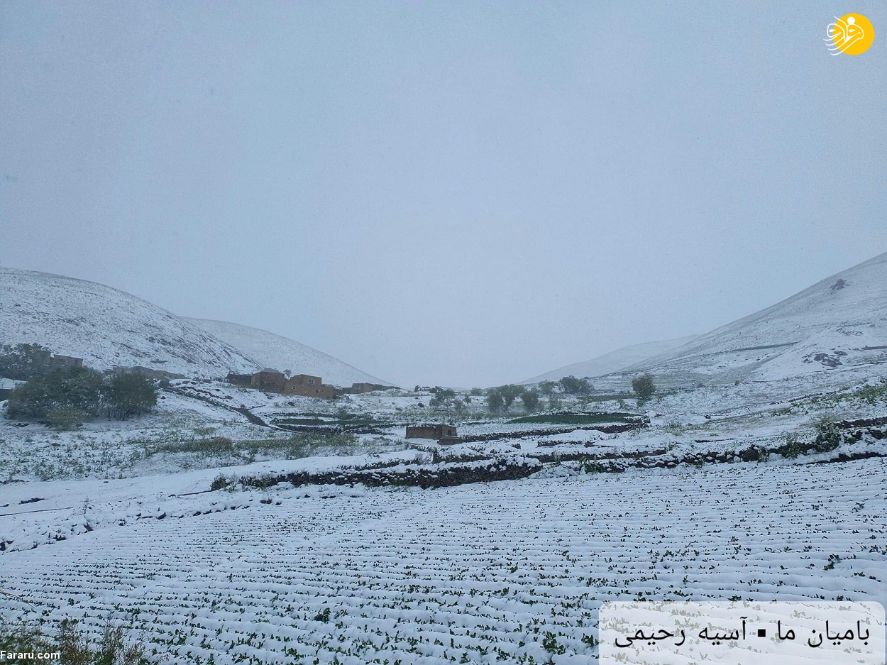 (عکس) بارش برف سنگین در بامیان افغانستان!