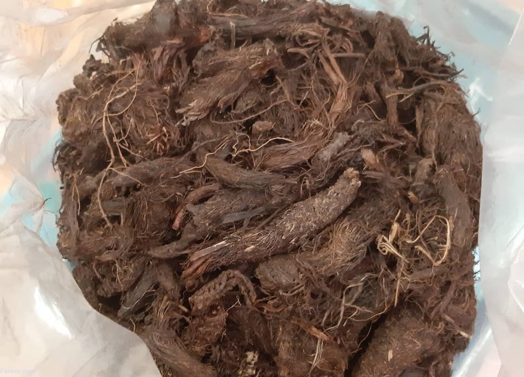ریشه سنبل الطیب