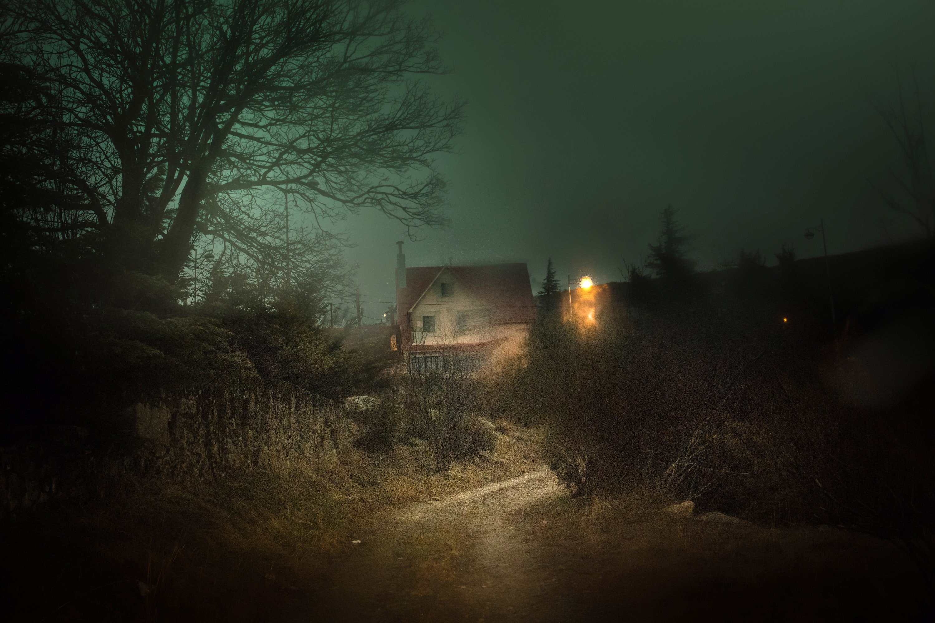 عکاسی از ابهام مه‌آلود منظره‌ها