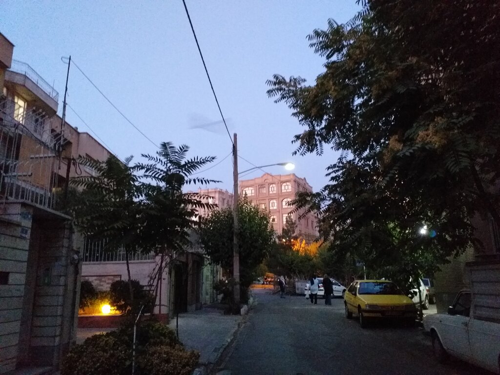 خفاش
