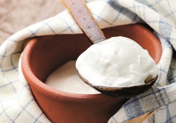 سیستم ایمنی بدنتان را با این مواد غذایی تقویت کنید ماست