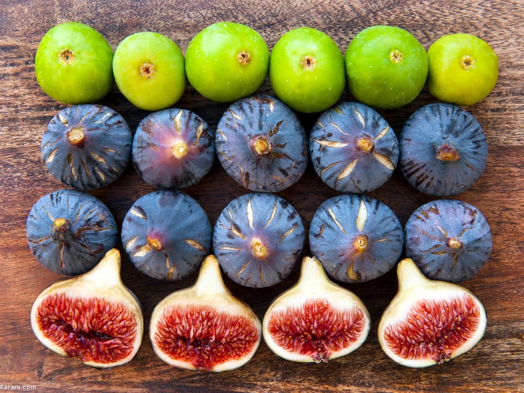 انواع انجیر