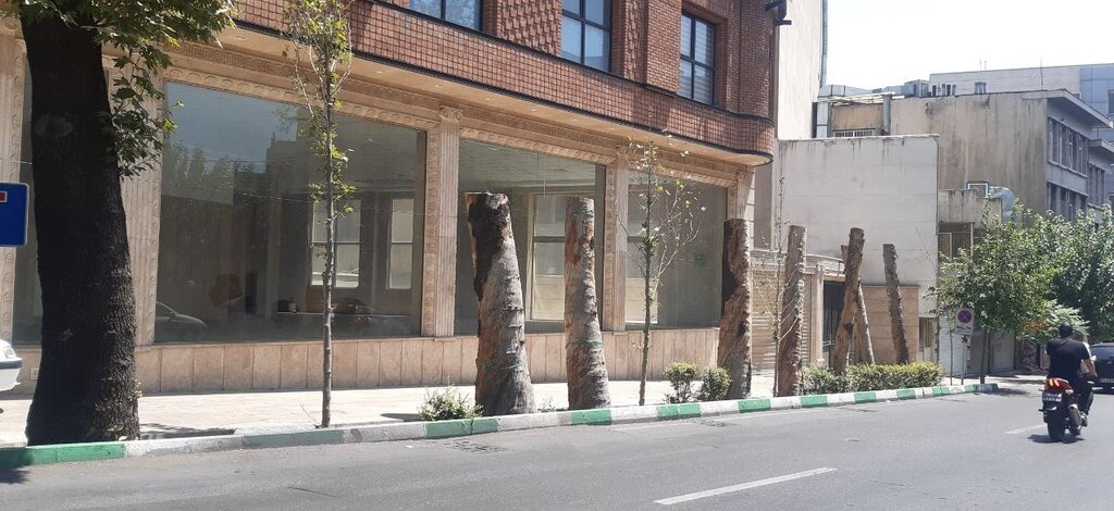 درخت