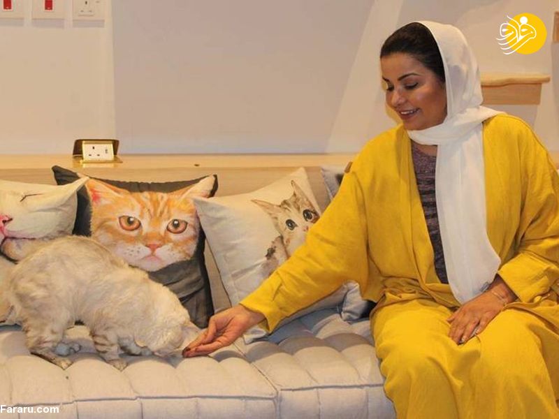 (ویدئو) (ویدئو)