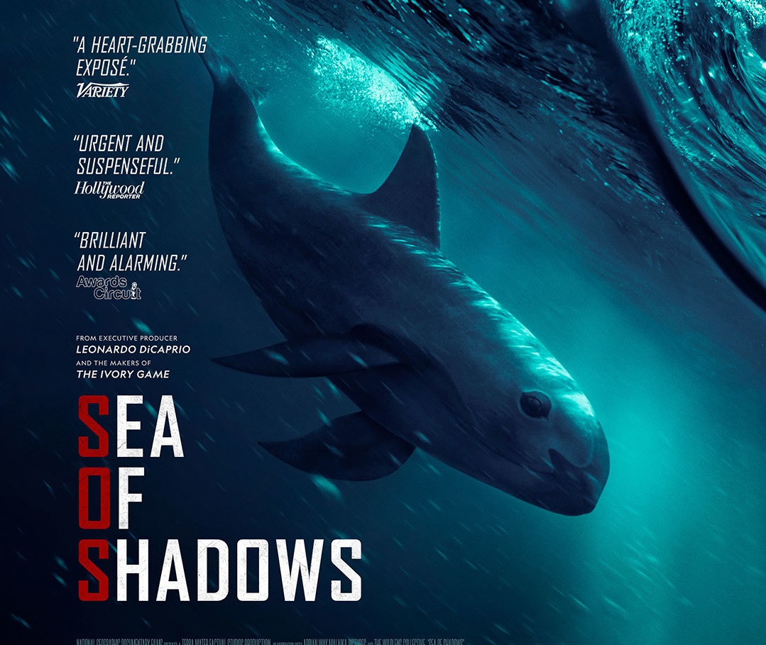 بهترین مستند‌های نجات؛ روایت‌هایی واقعی از لحظات مرگ و زندگی