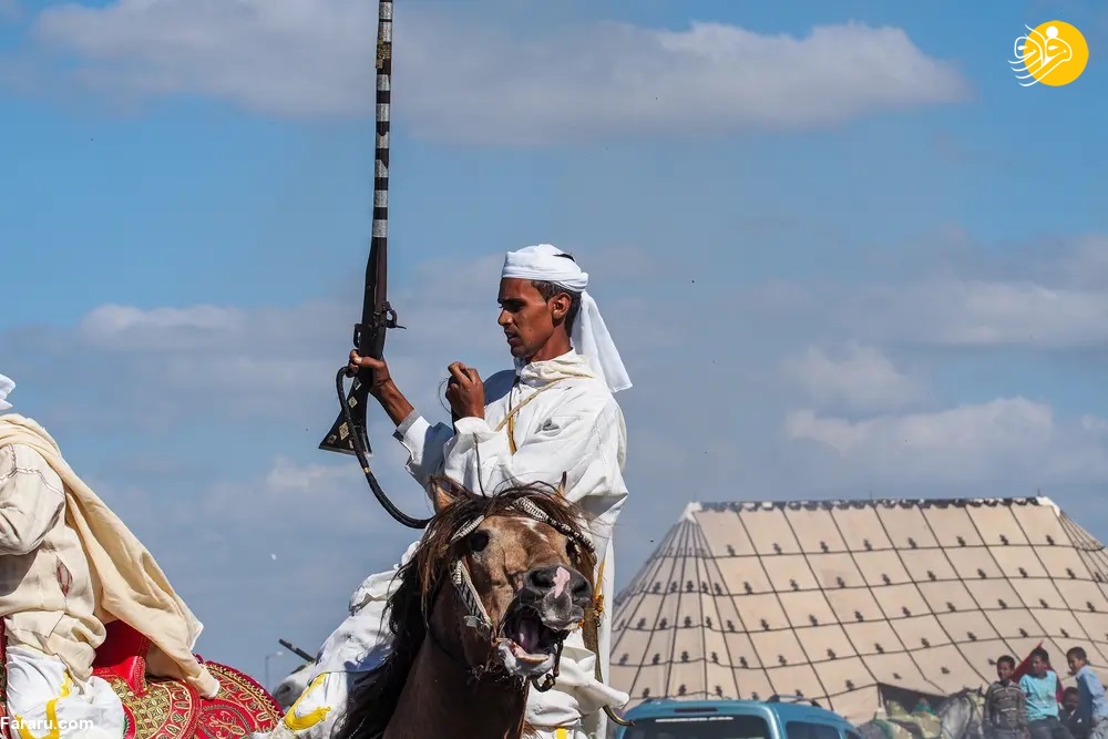(تصاویر)