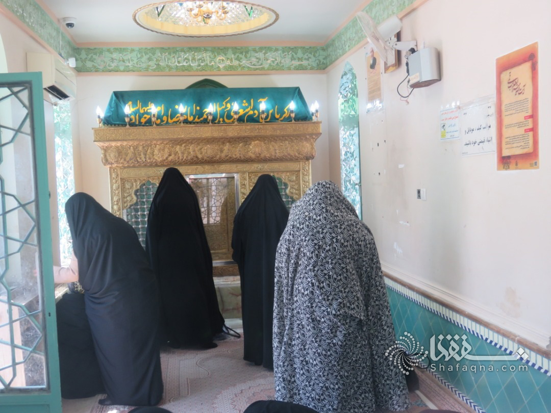 فرزند آیت الله صانعی: مزار مرحوم آیت الله صانعی مورد هتک حرمت قرار گرفت