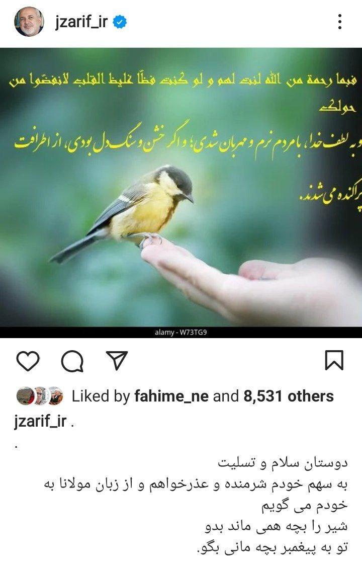 «عذرخواهی»