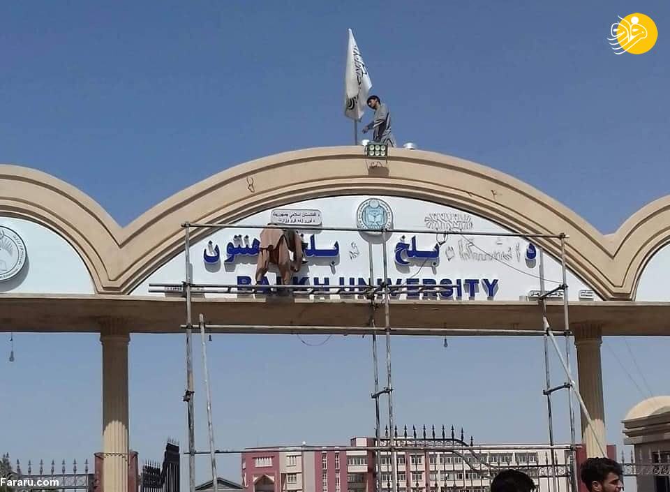 (عکس)