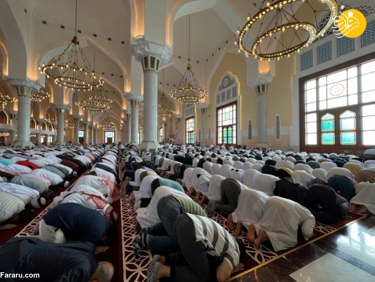 (ویدئو)
