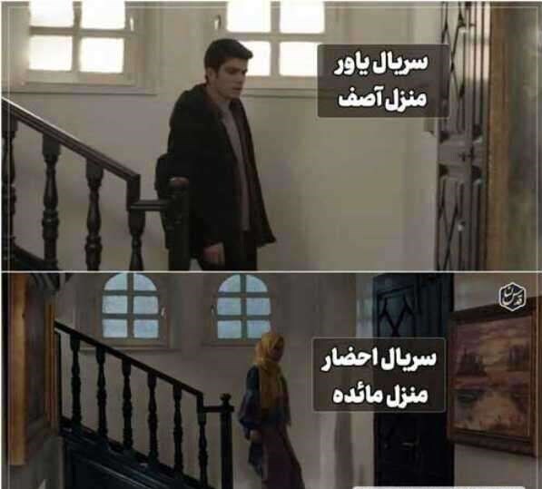 شباهت