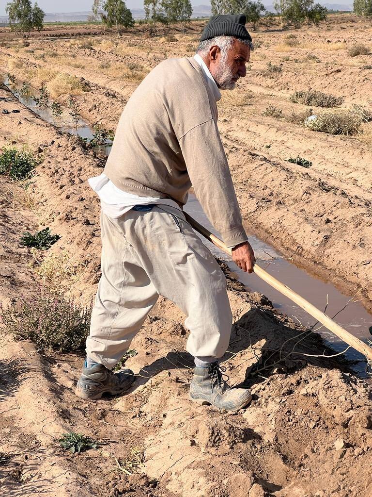 تصاویری از وزیر روحانی با بیل در حال کشاورزی!