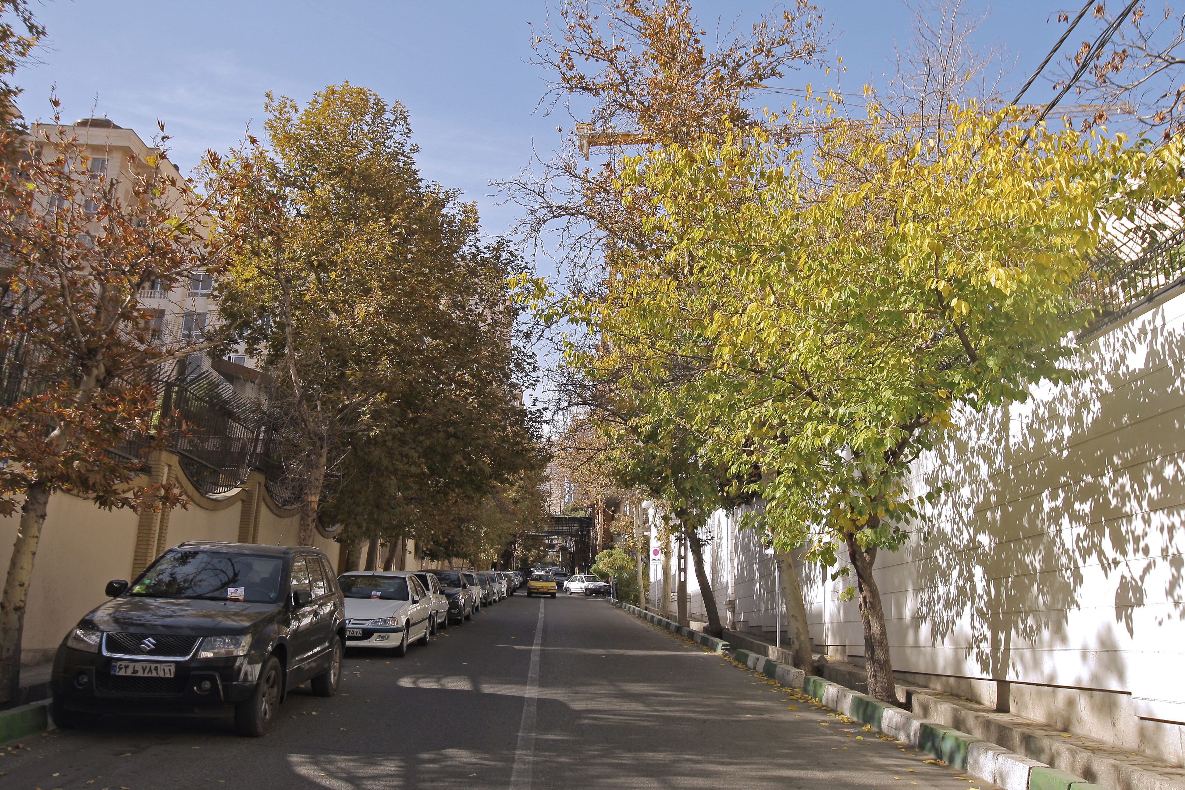 زعفرانیه