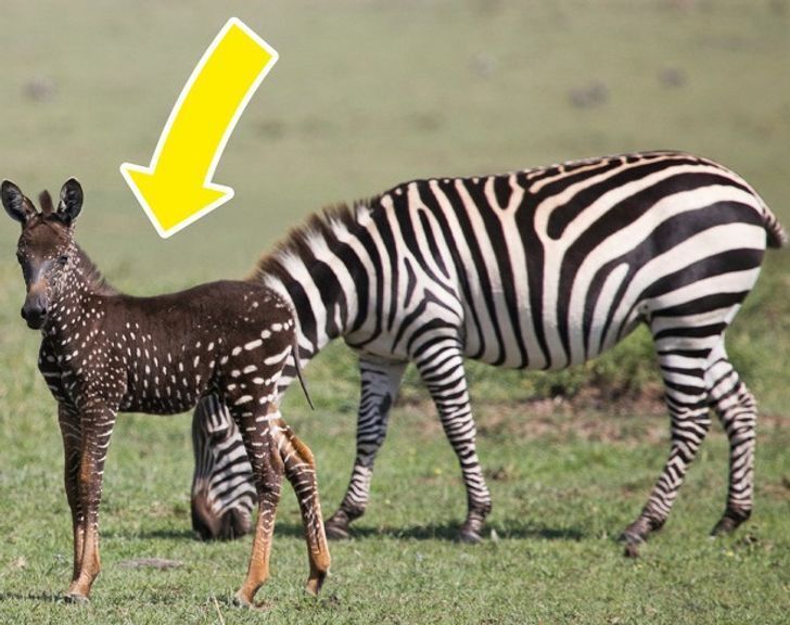 پاسخ به ۱۲ سؤال ساده که همیشه دلمان می‌خواست جوابشان را بدانیم