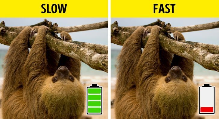 پاسخ به ۱۲ سؤال ساده که همیشه دلمان می‌خواست جوابشان را بدانیم