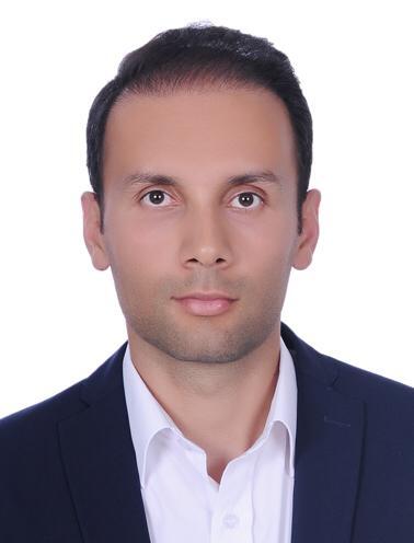 چرا گربه‌های تهران دیگر موش نمی‌گیرند؟