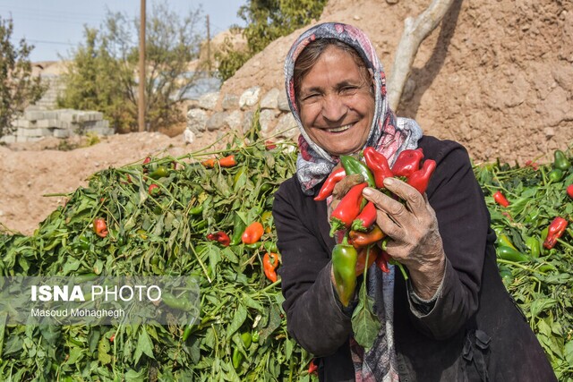(تصاویر)