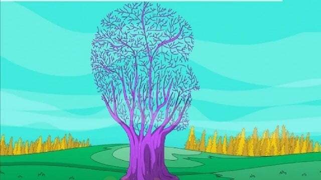 بگو تو عکس چی دیدی تا بگم از زندگی راضی هستی یا نه