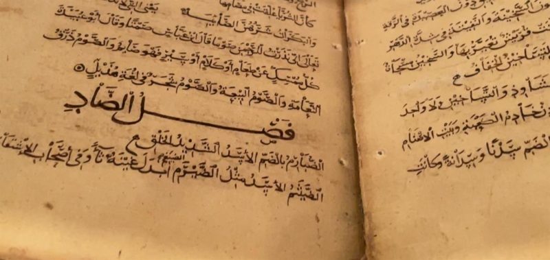 (تصاویر)