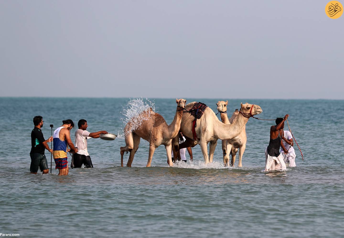 (تصاویر)