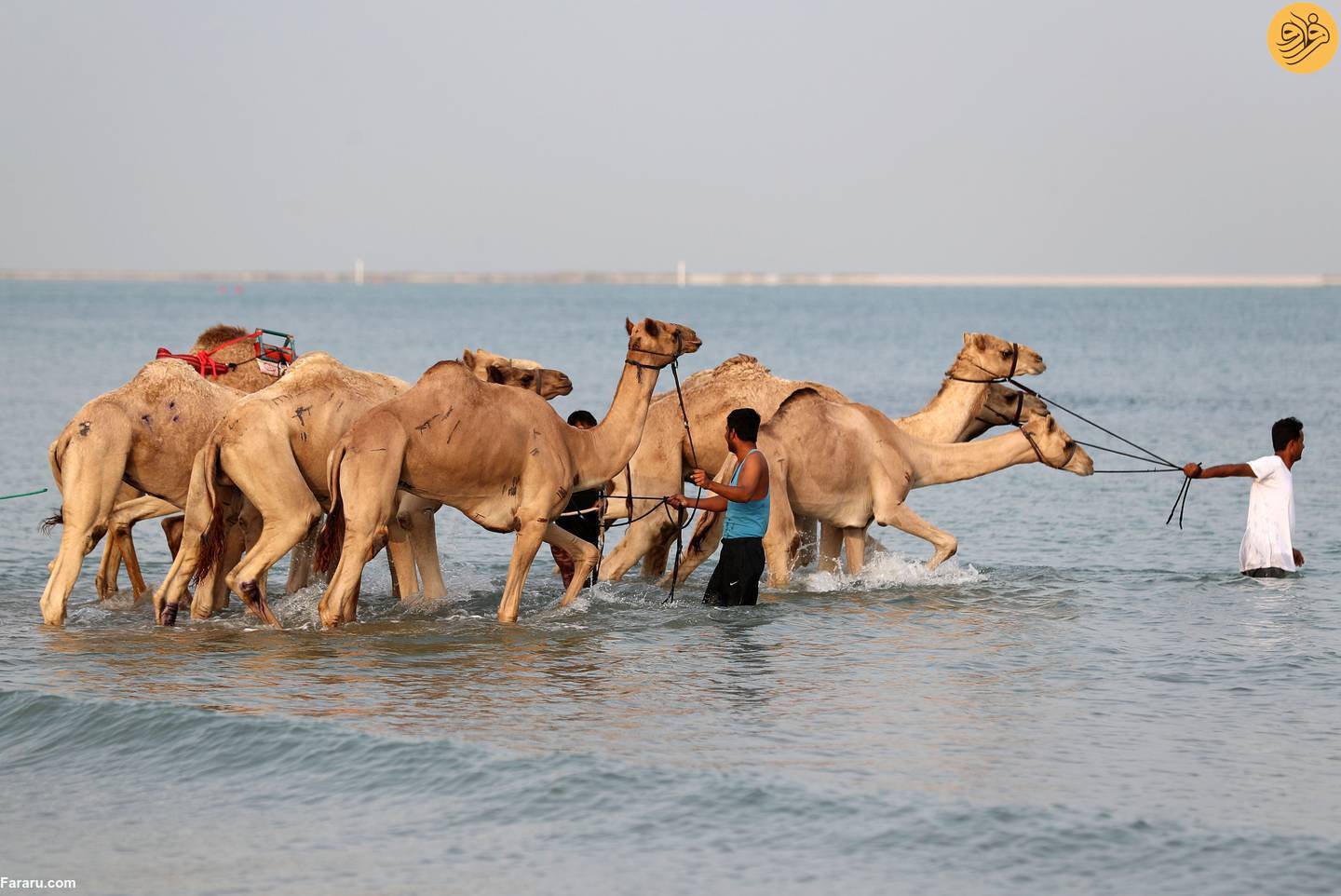 (تصاویر)