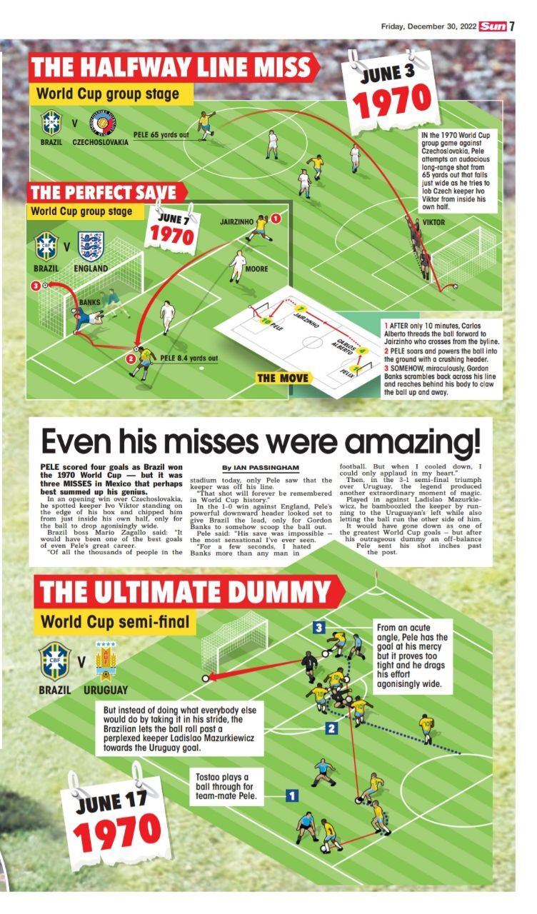 (عکس) زیباترین گل‌هایی که پله نزد