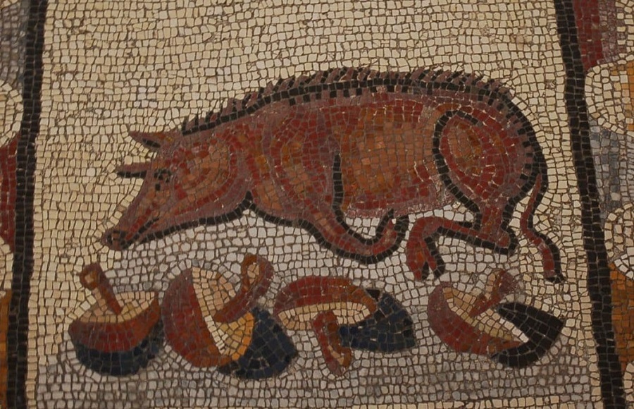 تهوع‌آورترین غذا‌های باستانی؛ از رحِم خوک تا خونِ ماهی!