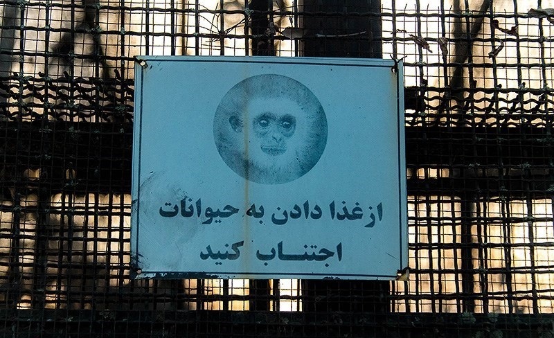 (تصاویر)