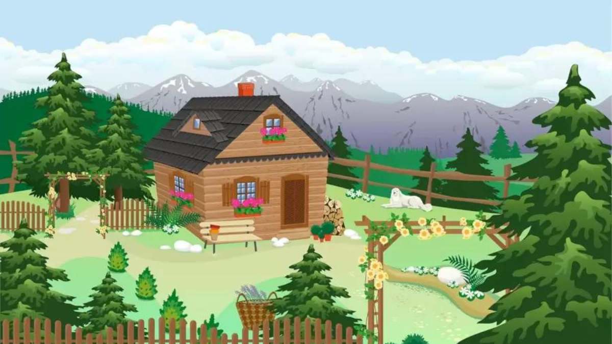 فقط ۵ ثانیه برای یافتن خرس فرصت دارید