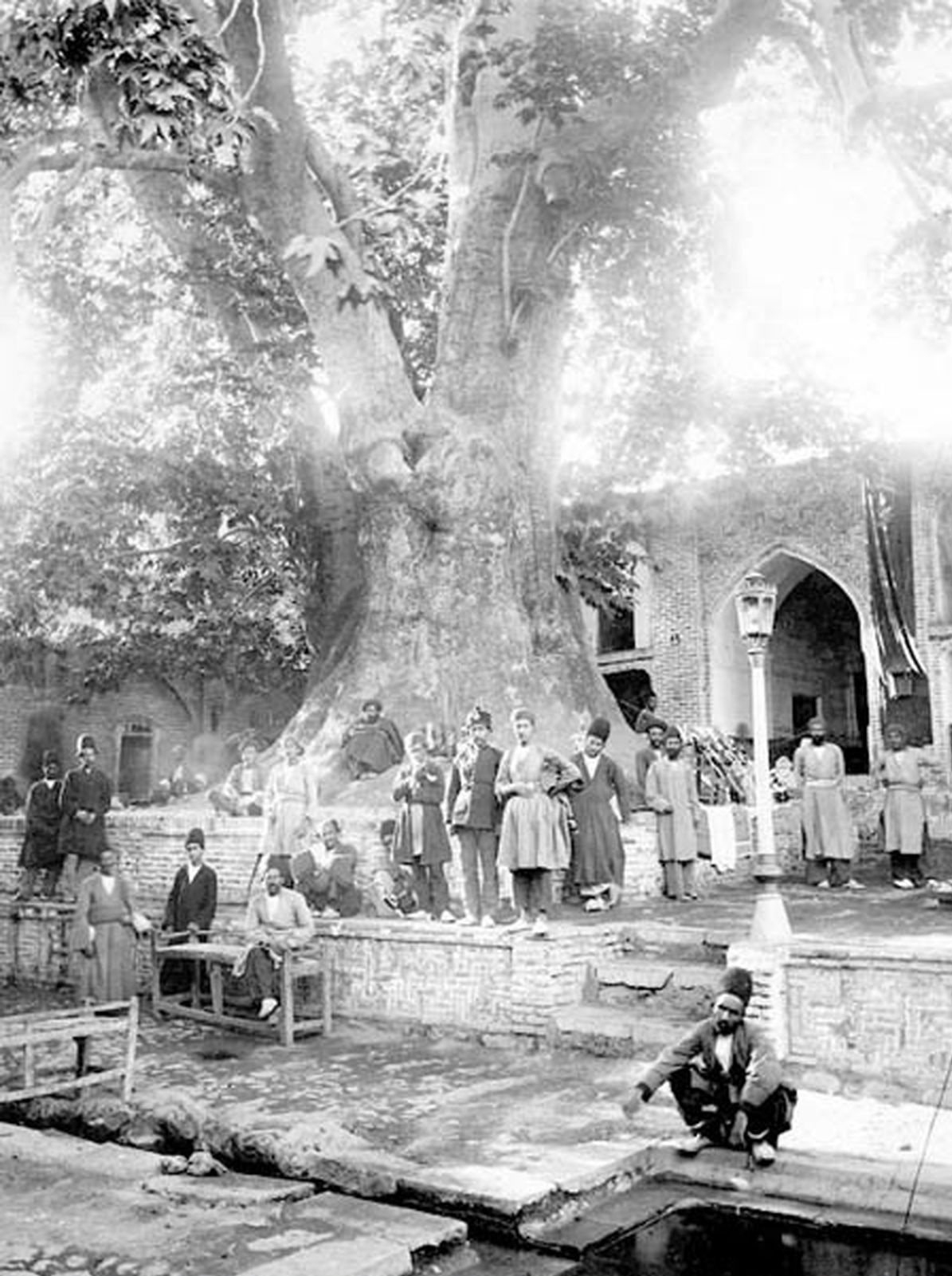 چنار امامزاده صالح